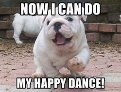 Image result for Happy Dance Animal Meme