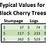 Image result for Black Cherry Tree Dder
