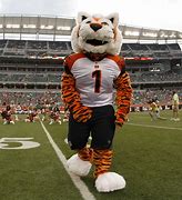 Image result for Cincinnati Bengals Mascot