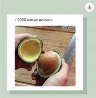 Image result for Avocado Ripening Meme
