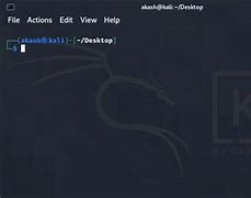 Image result for Kali Linux Terminal