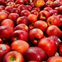 Image result for Had Fohan Apple
