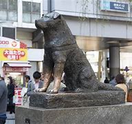 Image result for Shibuya Crossing Hachi