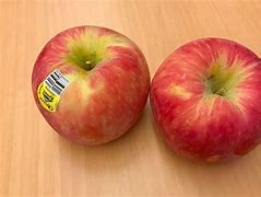 Image result for Organic Honeycrisp Apples