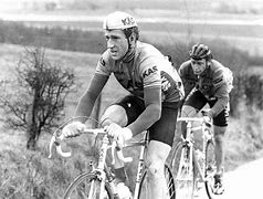 Image result for Sean Kelly Nias