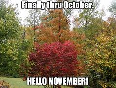 Image result for Welcome November Meme
