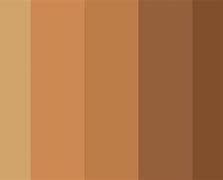 Image result for Cool Brown Color