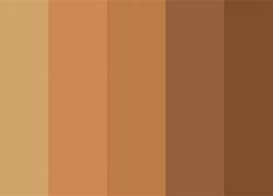 Image result for Light Brown Color Scheme