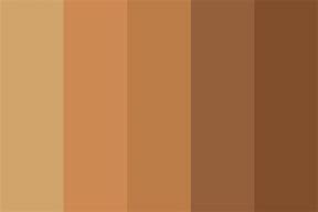 Image result for Most Popular Color Palettes