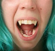 Image result for 6 Inch Long Fangs