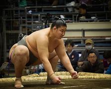 Image result for Sumo Wrestlers From Mongolia