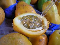 Image result for Tropical Fruits Costa Rica