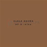 Image result for Nippon Sable Brown