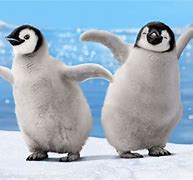 Image result for Funny Animated Penguins
