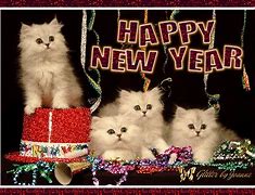Image result for Happy New Year GIF Cat Animated