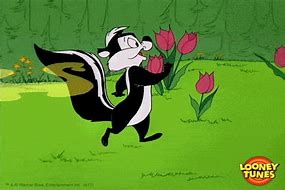 Image result for Pepe Le Pew Meme