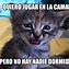 Image result for El Gato Meme Cute