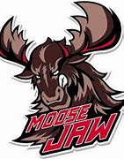 Image result for Moose Jaw Hockey