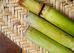 Image result for Raw Sugar Cane