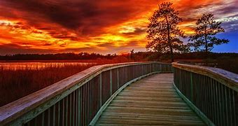 Image result for Virginia Nature