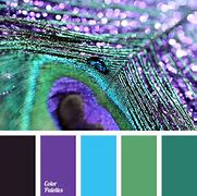 Image result for Coolors