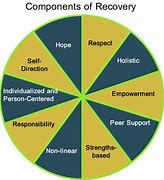 Image result for Health Recovery Solutions