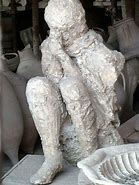 Image result for Pompeii Bodies Dog