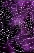 Image result for Spider Web Aesthetic