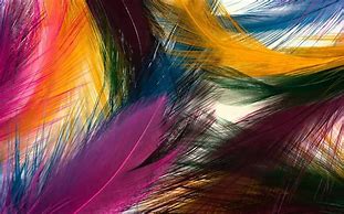 Image result for Crow Feather Wallpaper