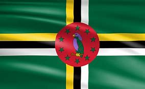 Image result for Dominica Flag