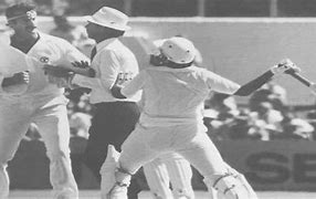 Image result for Cricket Fight