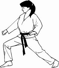 Image result for Martial Arts Videos