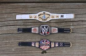 Image result for WWE Action Figure Custom Wrestling Belts