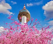 Image result for Seoul South Korea Tourist Attractions