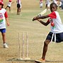 Image result for Mini Cricket Indoor Game
