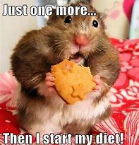 Image result for Mice Memes Funny