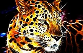 Image result for Fire Cat Art