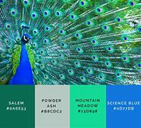 Image result for Green Color Types