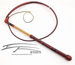 Image result for Stock Whip