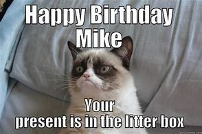 Image result for Grumpy Cat Mike Happy Birthday