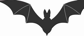 Image result for Bat Outline Art