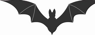 Image result for Bat Head Drawing