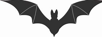Image result for Bat Vector Template
