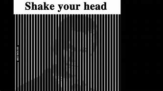 Image result for Shake Your Head Illusion