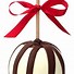 Image result for Holiday Caramel Apples