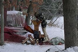 Image result for Fargo Wood Chipper Scene