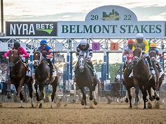 Image result for 85th Belmont Stakes
