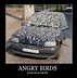 Image result for Funy Car Meams