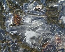 Image result for ice stock
