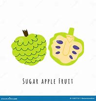 Image result for Sugar Apple Fruit Clip Art